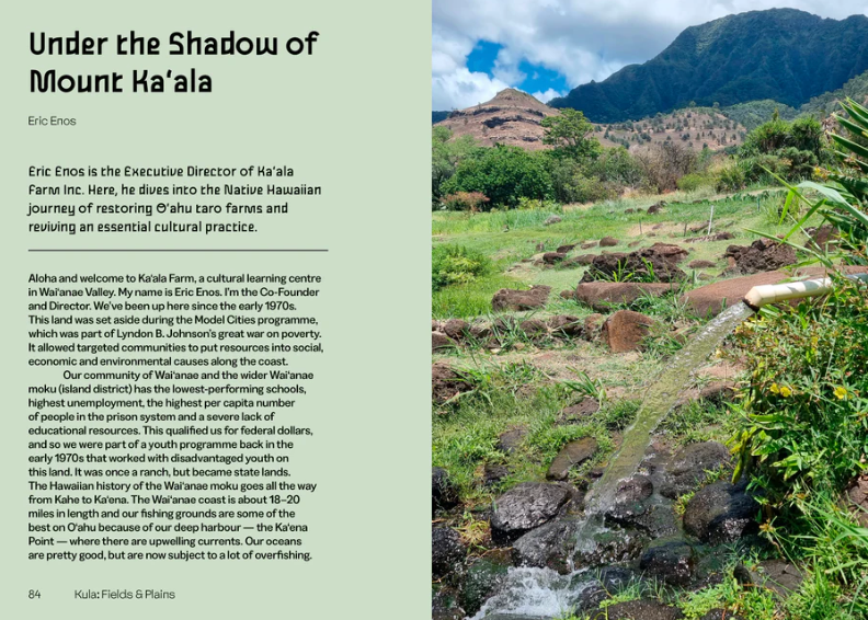 Mauka to Makai: Hawaiian Quilts and the Ecology of the Islands