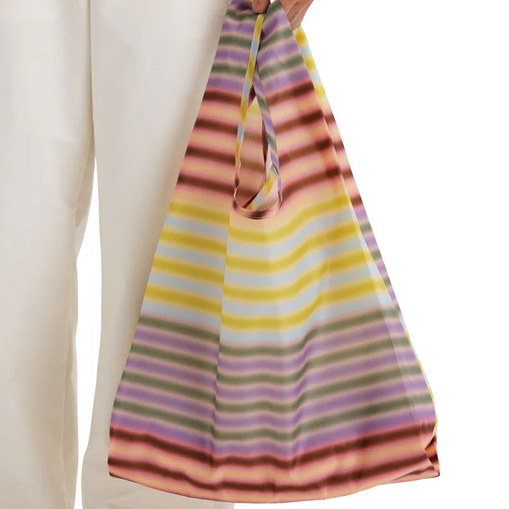 Standard Baggu: Gradient Stripe Multi