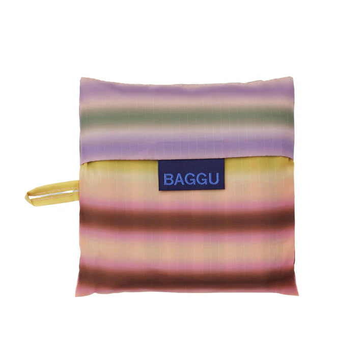 Standard Baggu: Gradient Stripe Multi
