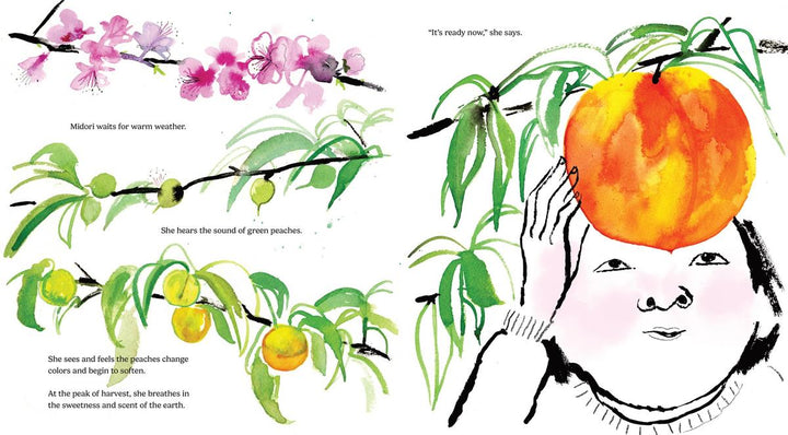 Every Peach Is A Story