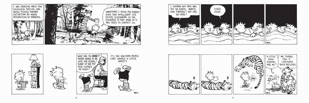 The Calvin and Hobbes Portable Compendium Set 4