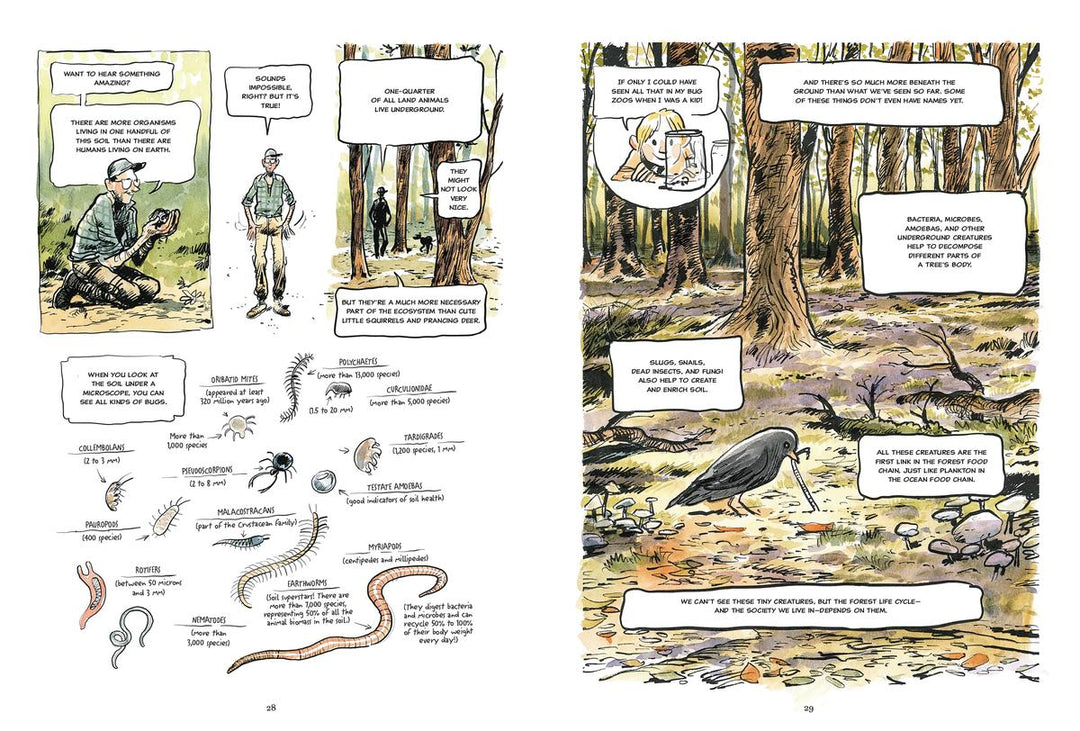 The Hidden Life of Trees: A Graphic Adaptation