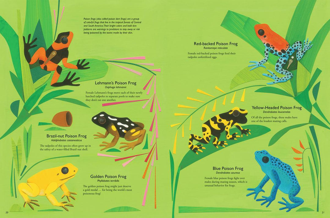 My Book of Frogs and Toads