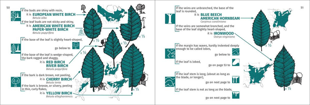 Tree Finder