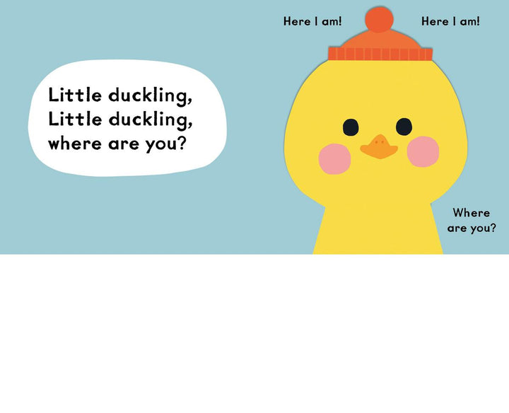 Baby Faces: Little Bunny, Where Are You?