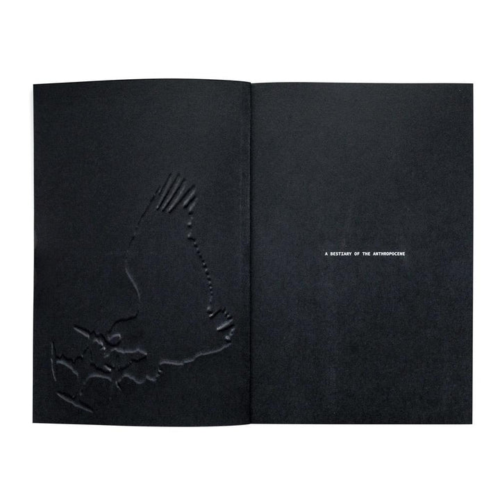 A Bestiary of the Anthropocene