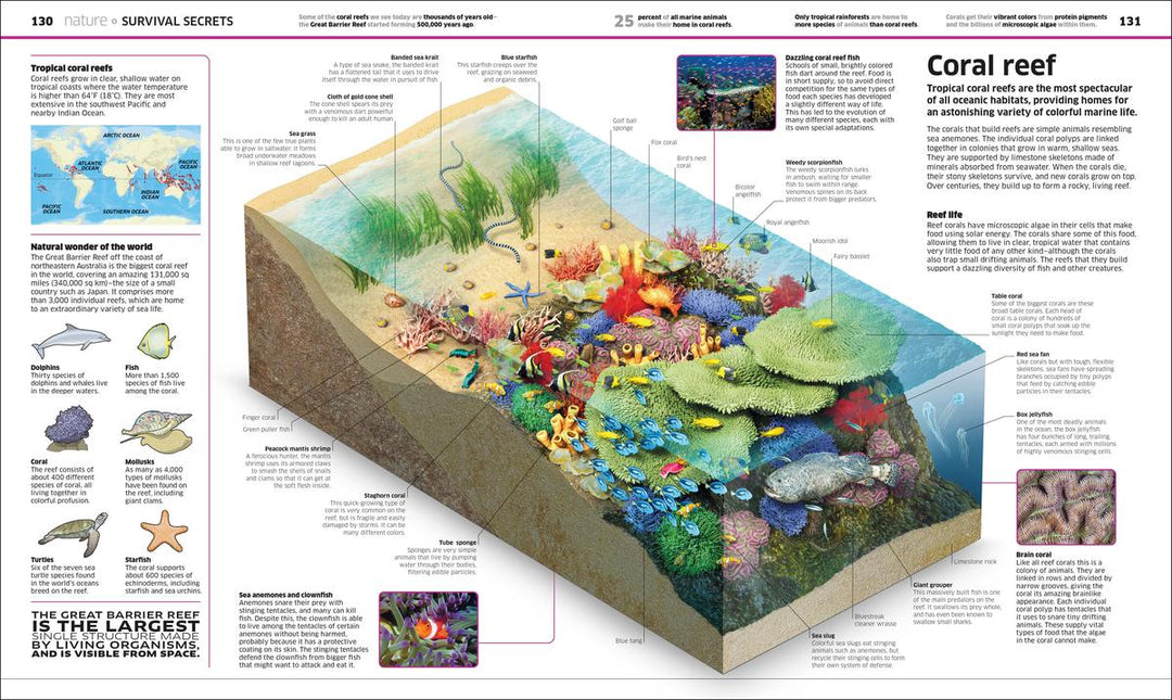 Knowledge Encyclopedia