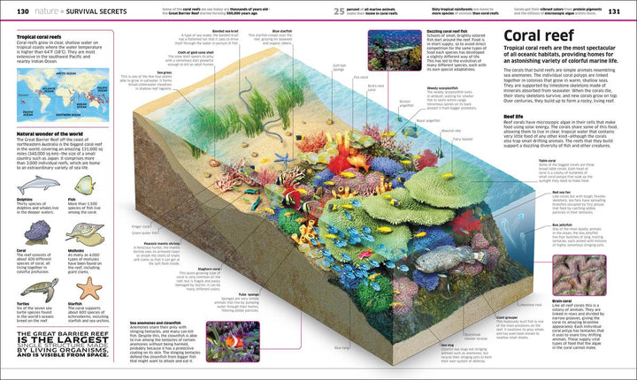 Knowledge Encyclopedia
