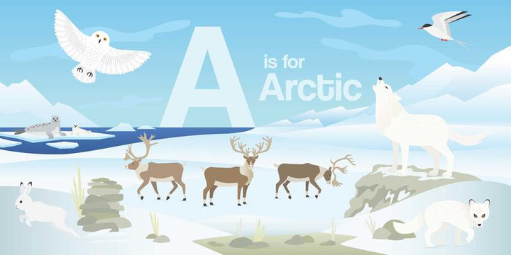 Canada ABC