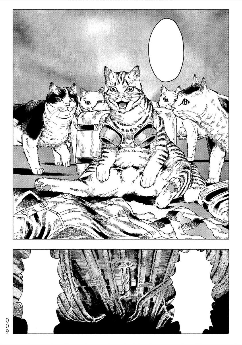Night of the Living Cat Vol. 1