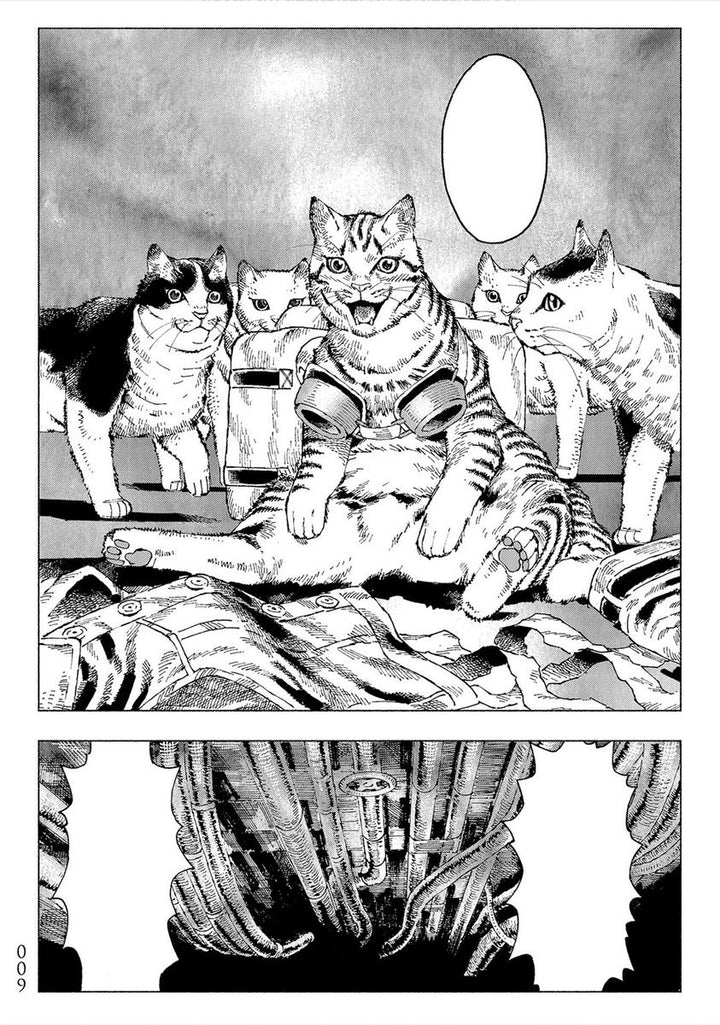 Night of the Living Cat Vol. 1