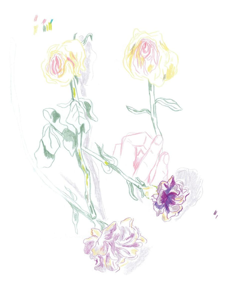 Portrait of a Body