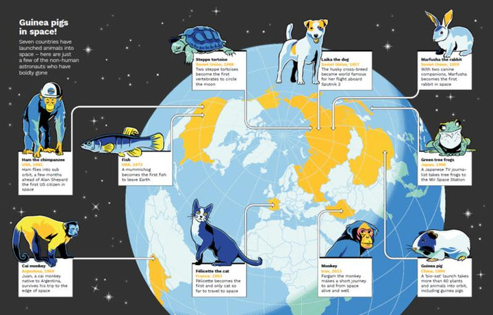 Wild Maps for Curious Minds