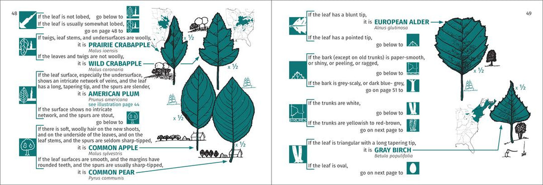 Tree Finder