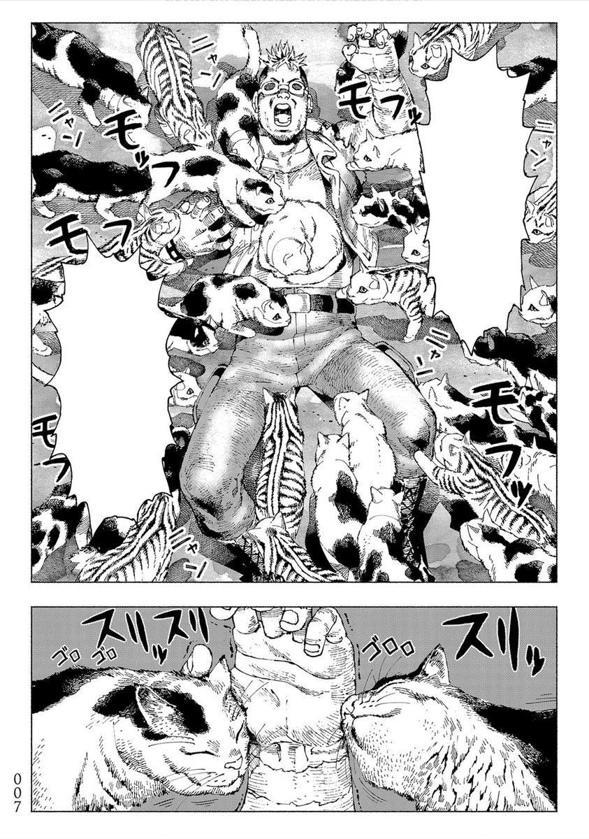 Night of the Living Cat Vol. 1