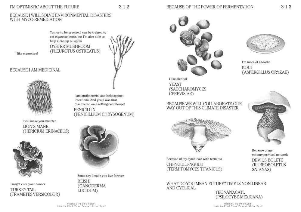 Let's Become Fungal!