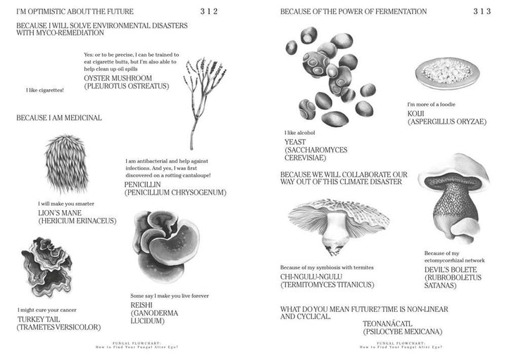 Let's Become Fungal!