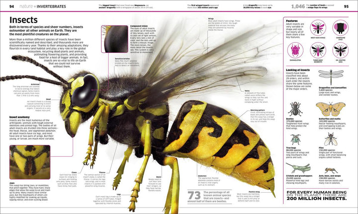 Knowledge Encyclopedia