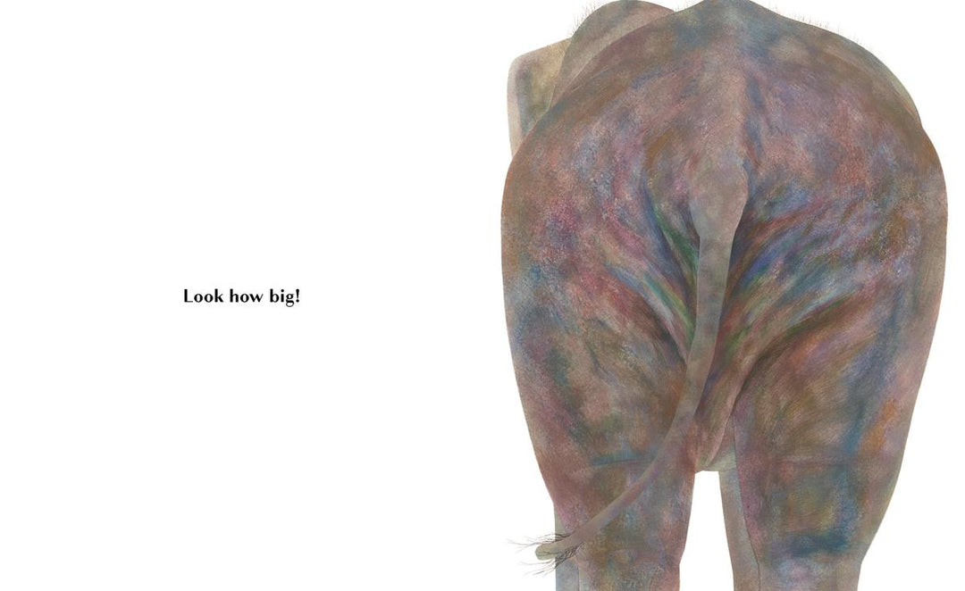 Animals Brag About Their Bottoms