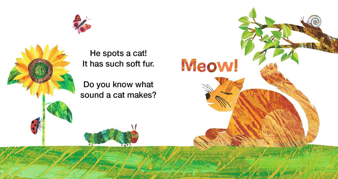 The Very Hungry Caterpillar's Garden Friends
