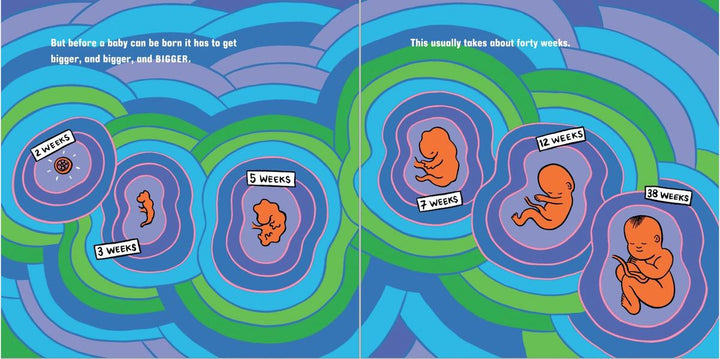 What Makes a Baby