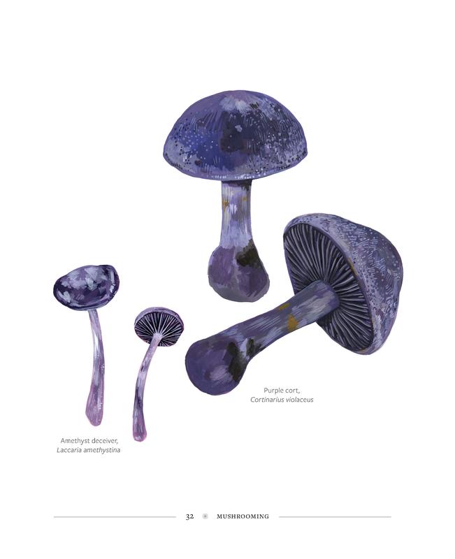 Mushrooming