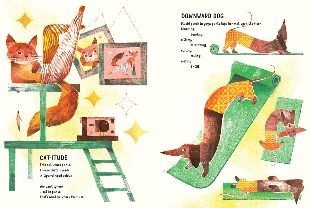 Animals in Pants